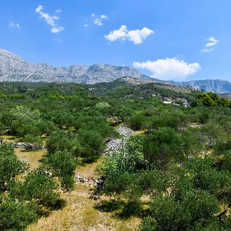 アパート Sol Rooftop