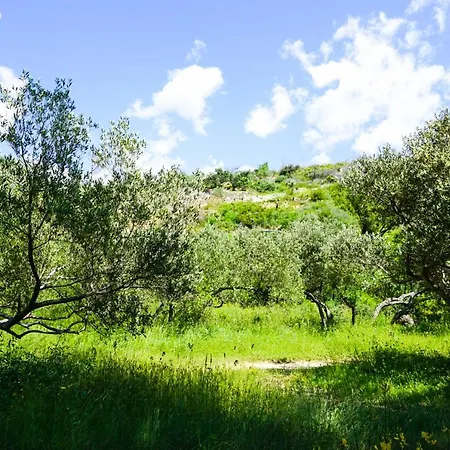 Sol Rooftop Apartman